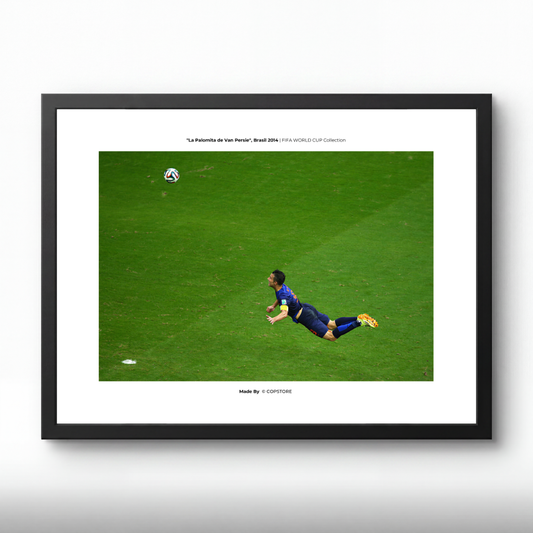 VAN PERSIE | "EL GOL DE PALOMITA"